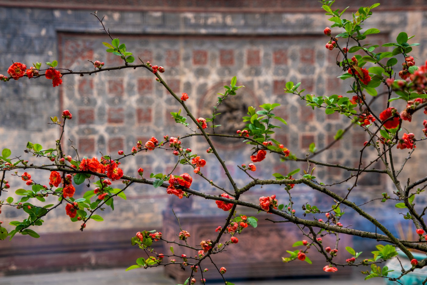 DSC00064 ����.jpg