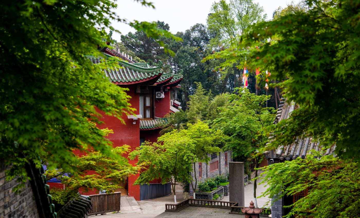 DSC00062 ����.jpg