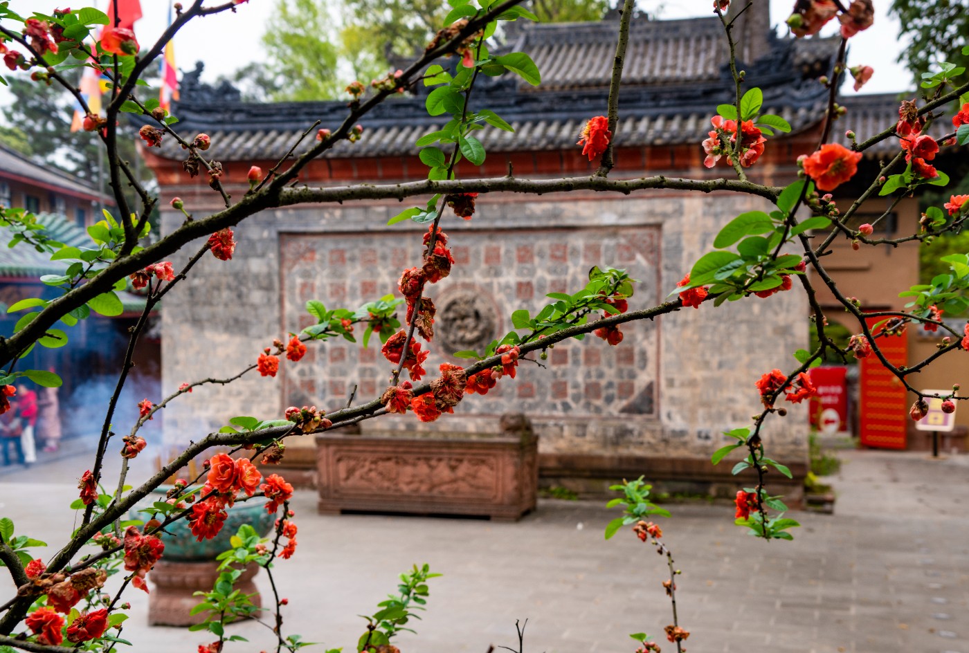 DSC00067 ����.jpg