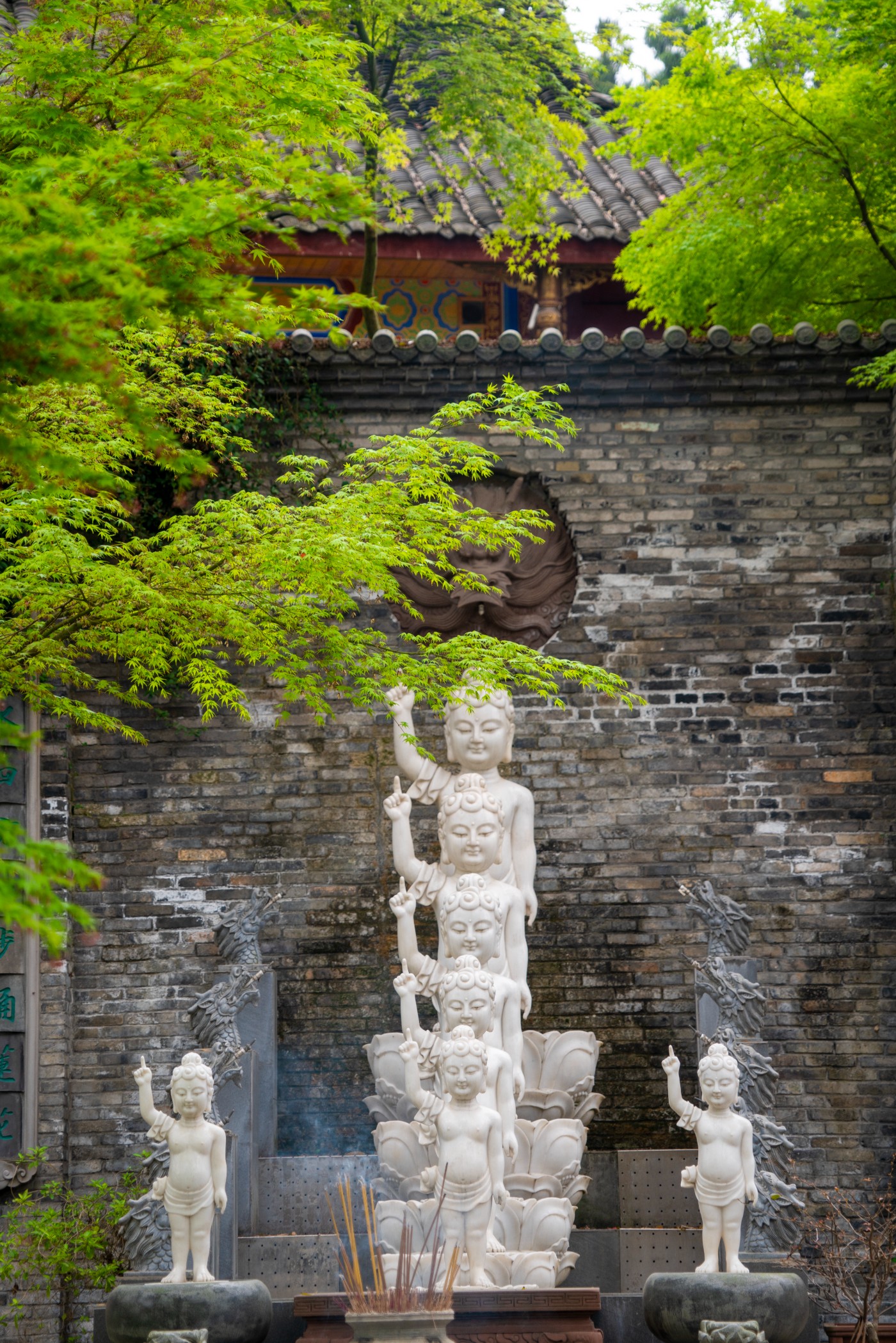 DSC00012 ����.jpg