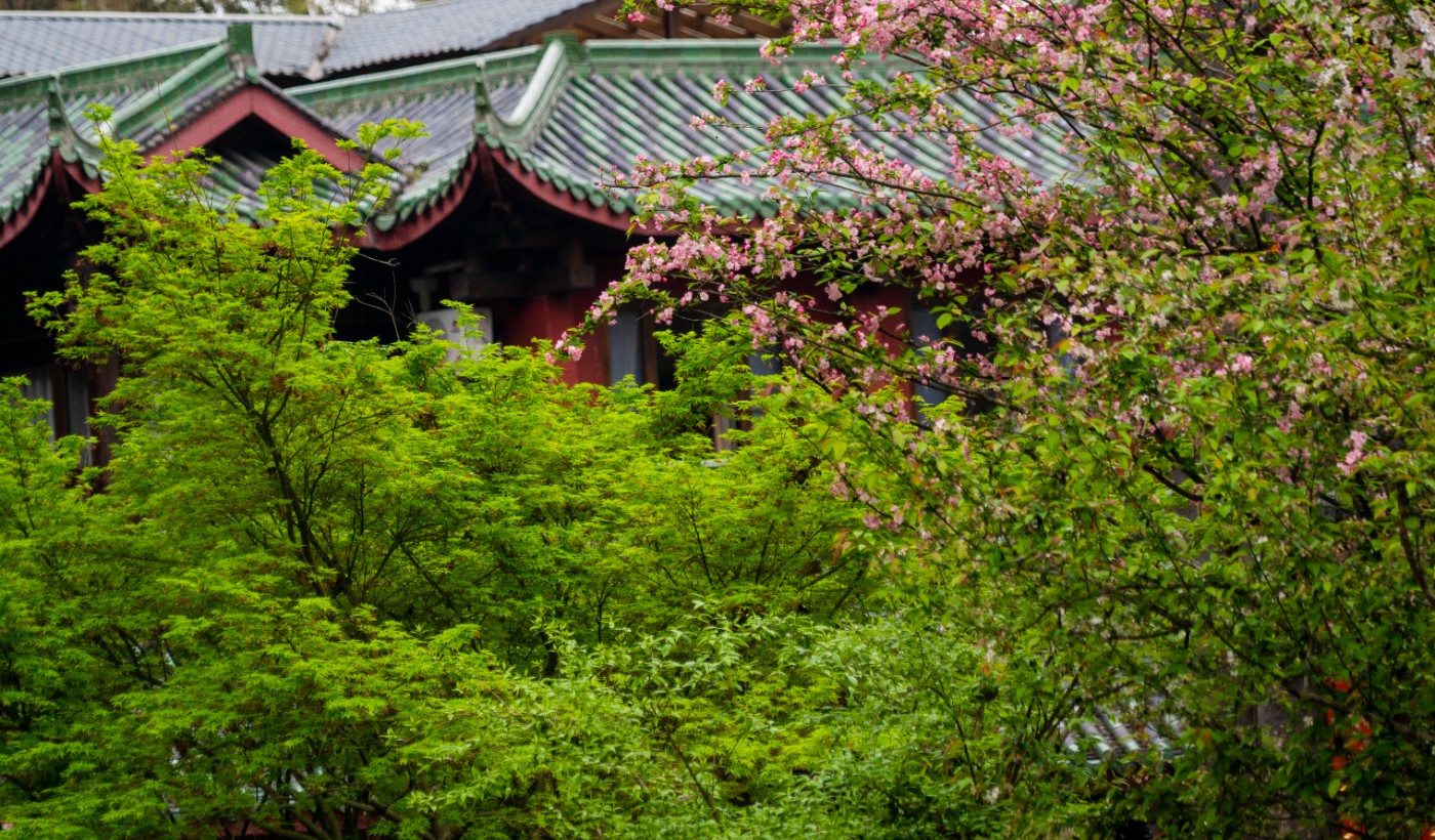 DSC00016 ����.jpg