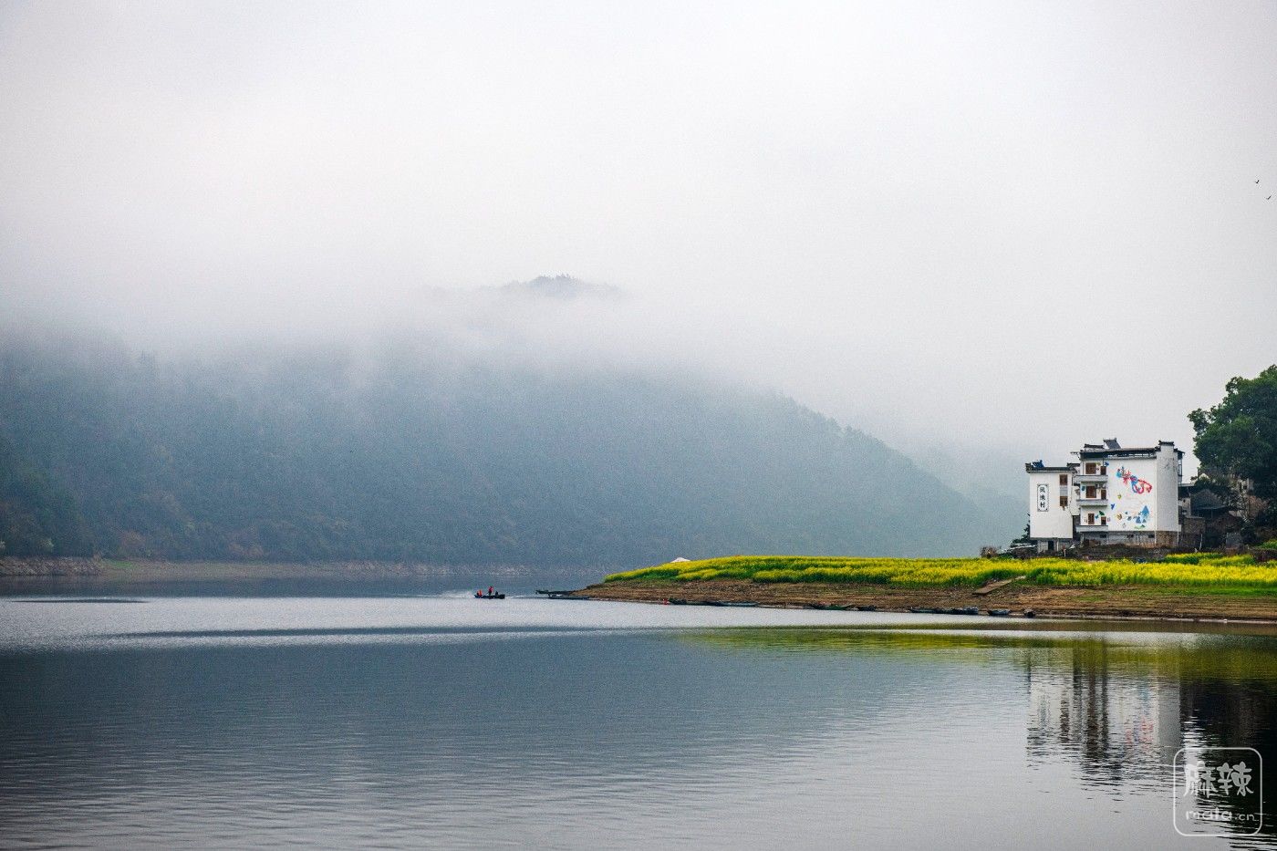 DSC_3142 ����.jpg