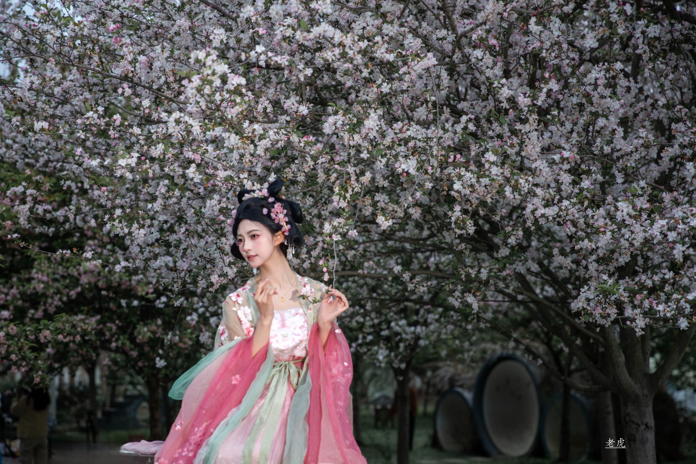 AR6P0264 ���� 2.jpg