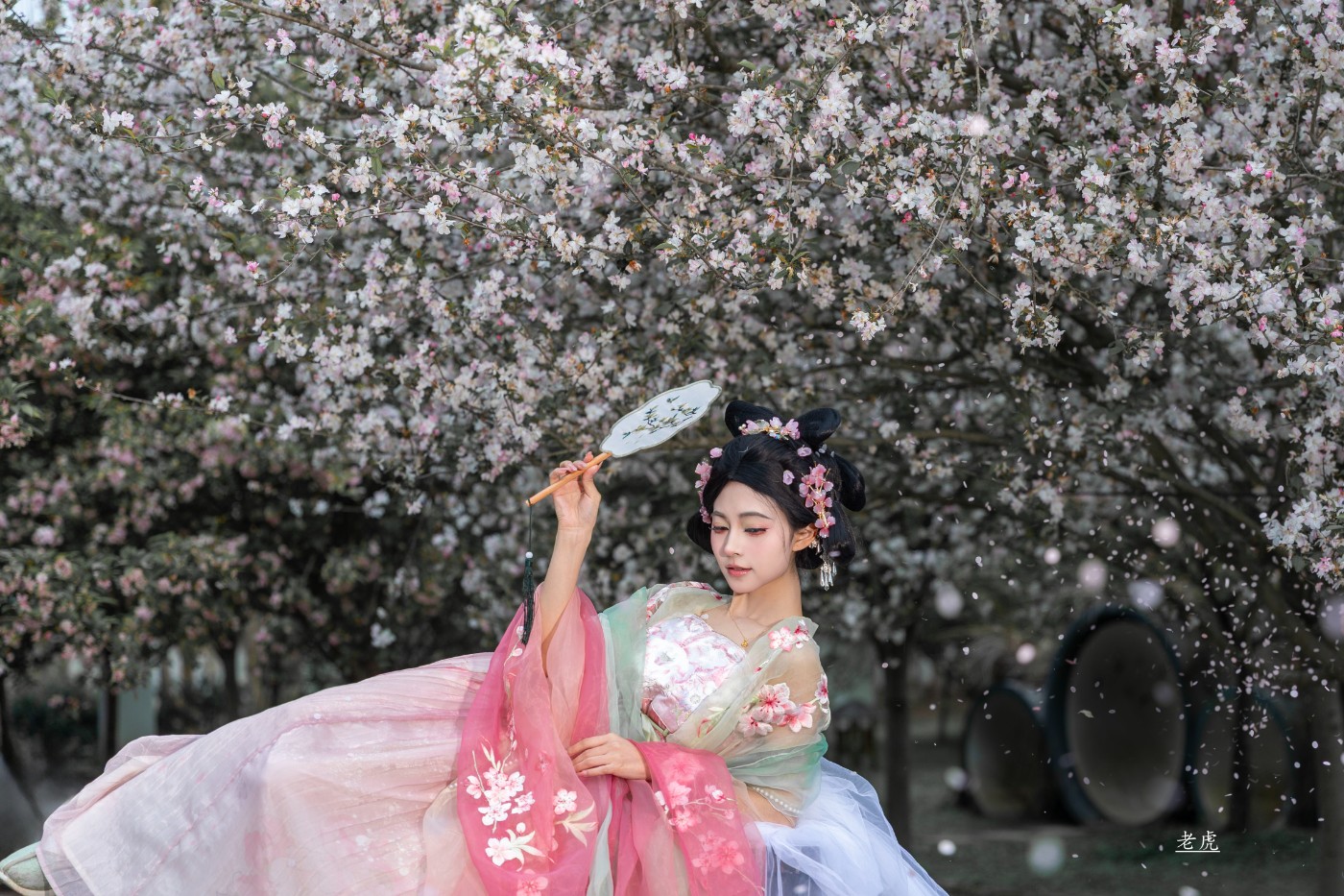 AR6P0490 ����.jpg