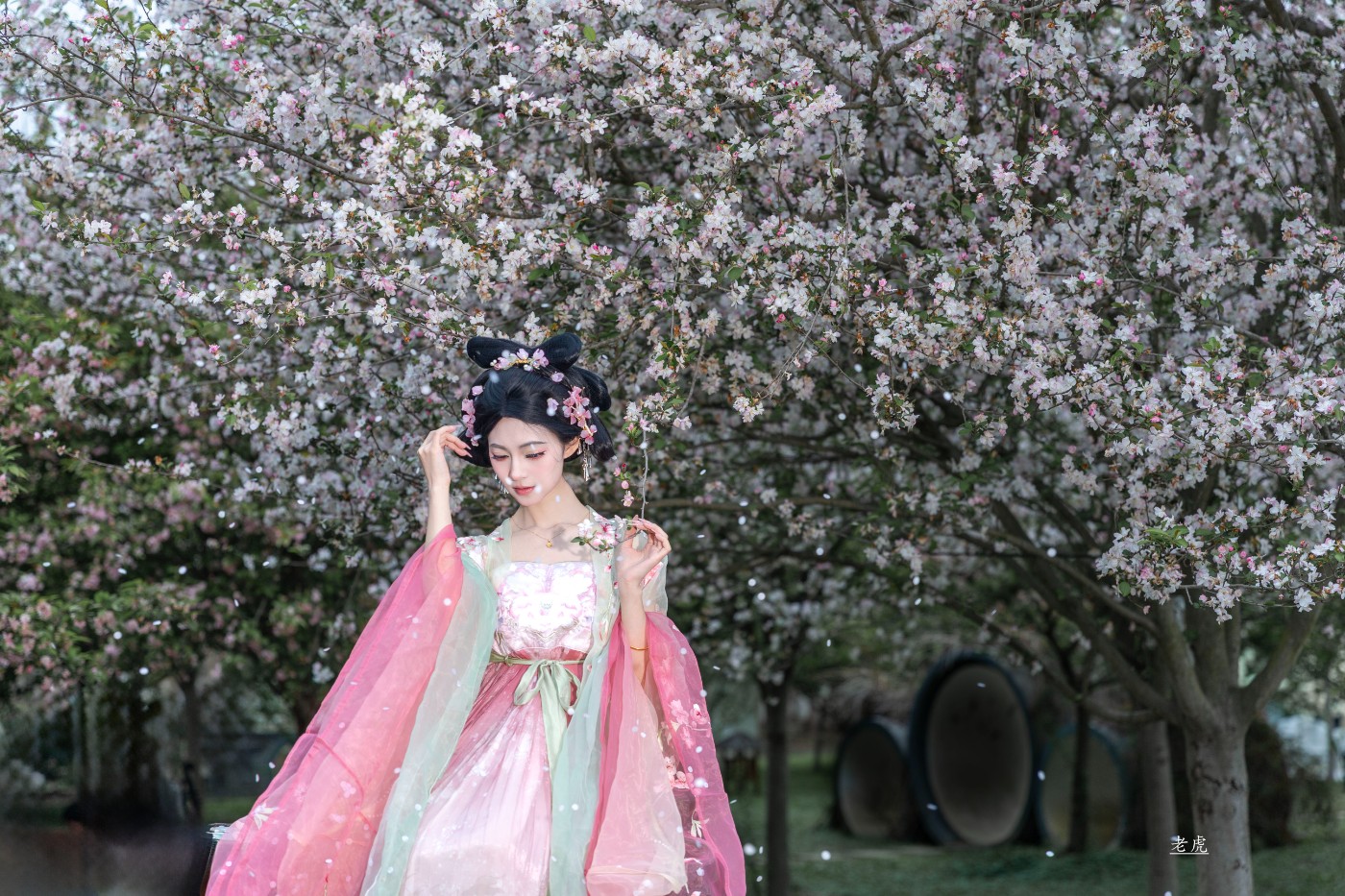 AR6P0285 ����.jpg