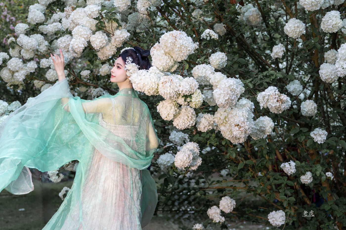 AR6P0543 ���� 2.jpg