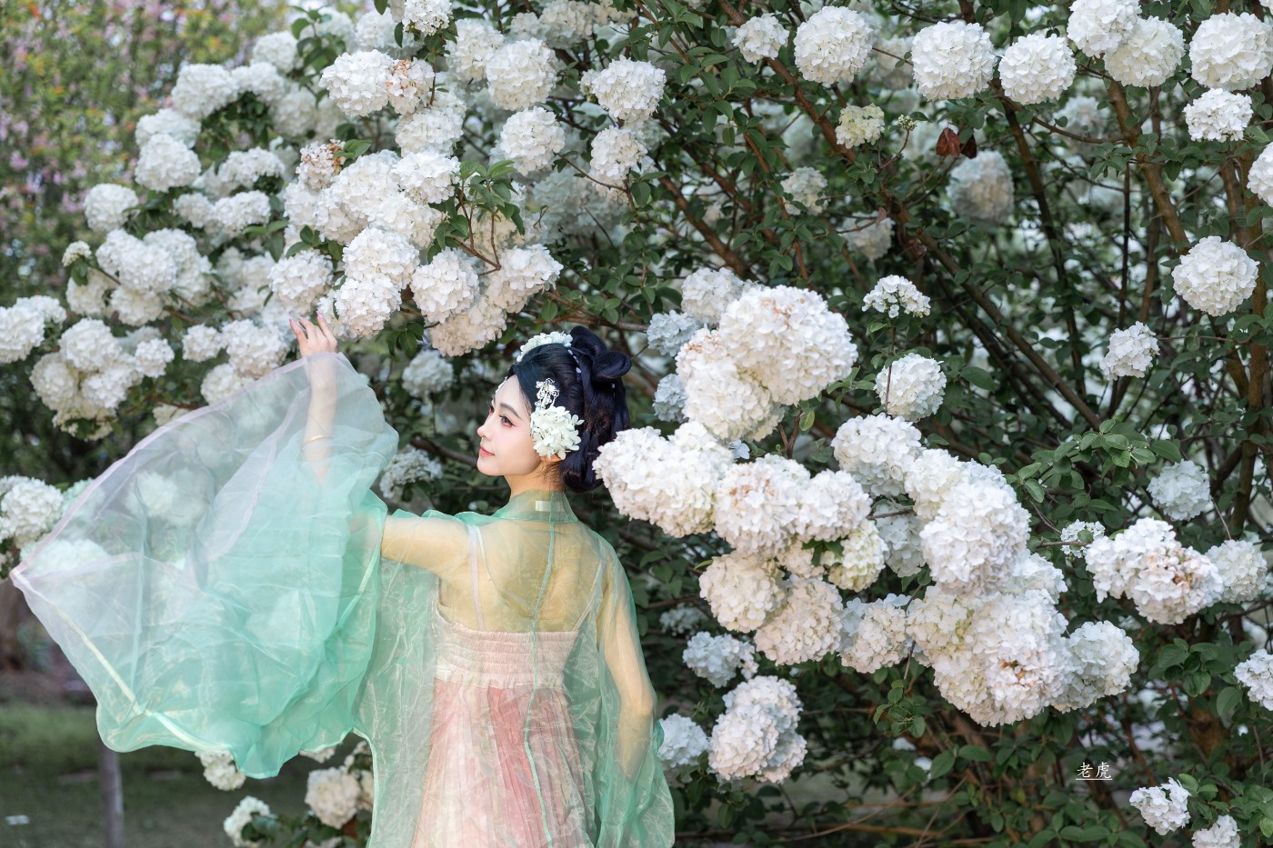 AR6P0589 ����.jpg