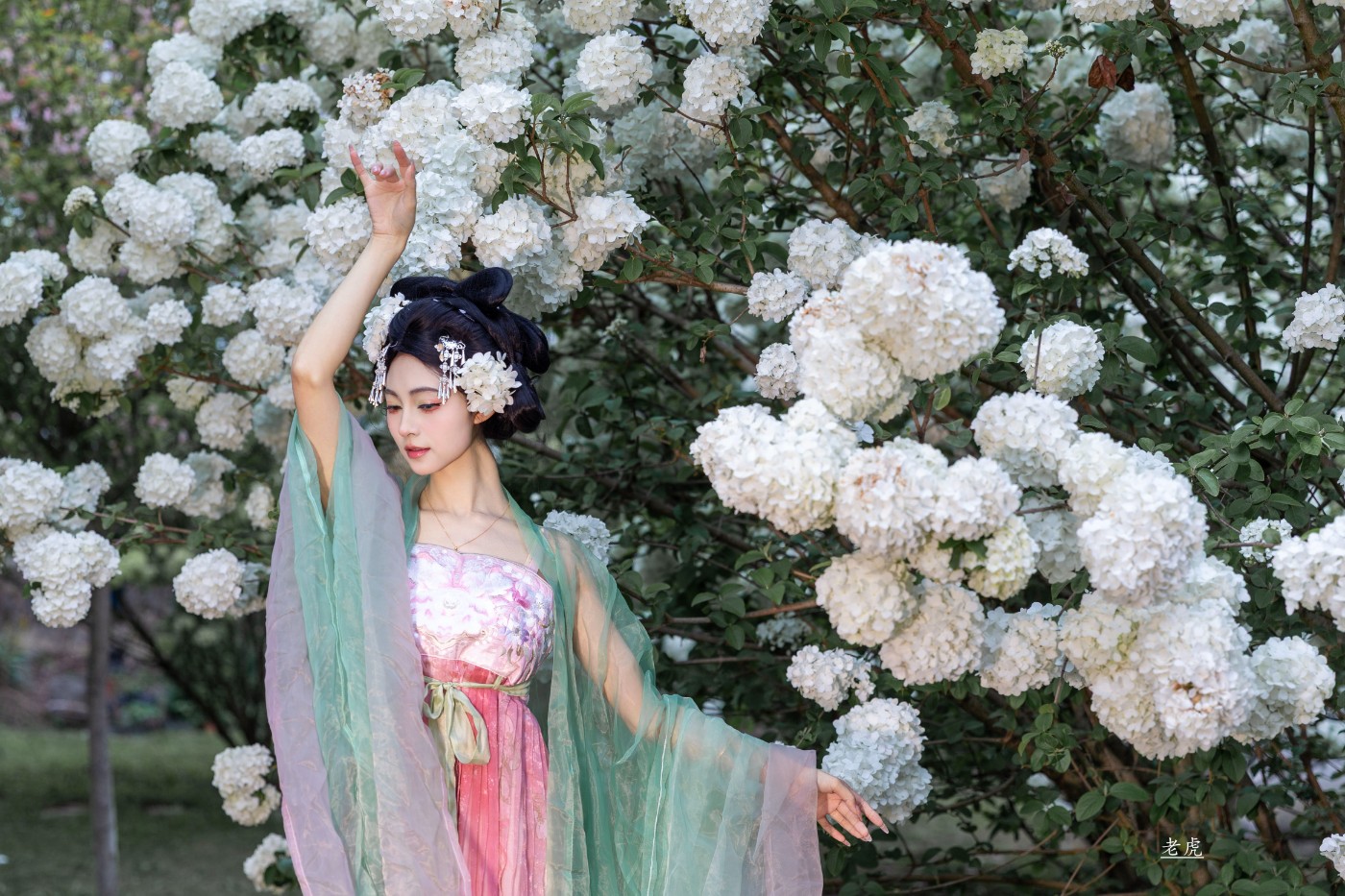 AR6P0579 ����-2 ����.jpg