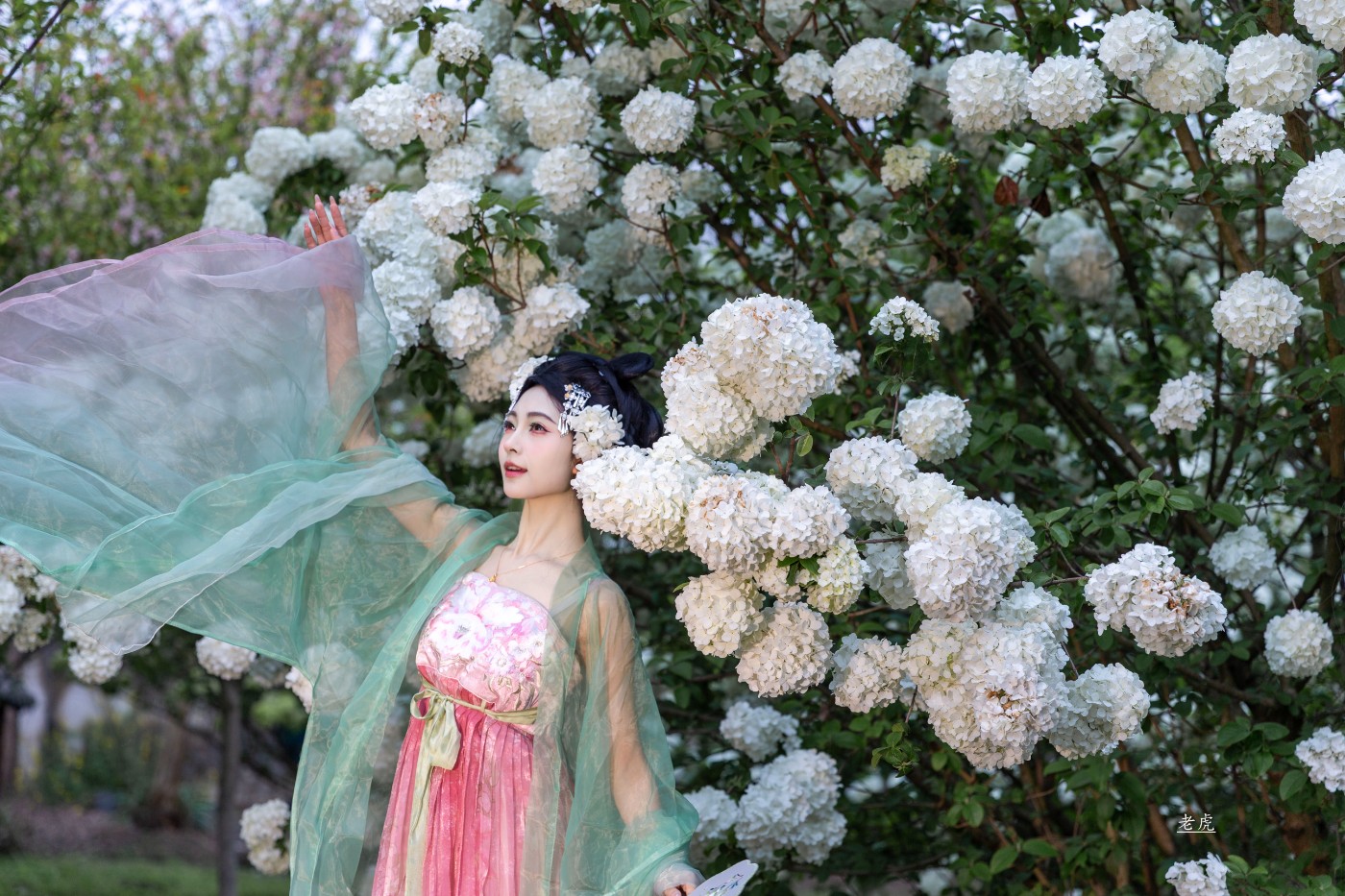 AR6P0554 ����.jpg