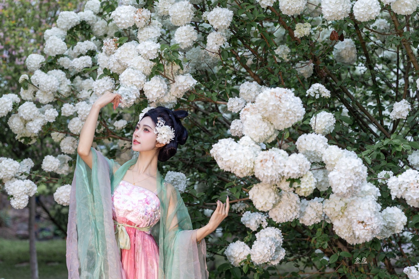 AR6P0576 ���� 2.jpg