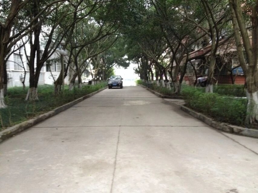 ��԰ʽ��վʱ��Ƭ