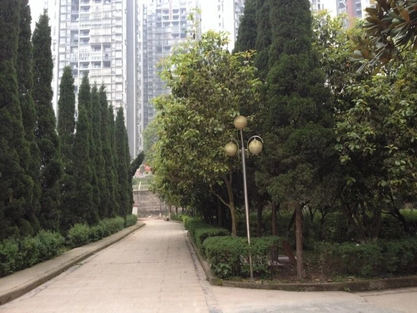 ��԰ʽ��վ��Ƭ