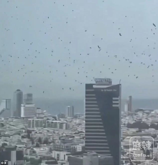 41fb0a25e14341b699d9d5a74d1ce82a~tplv-obj:634:662.image