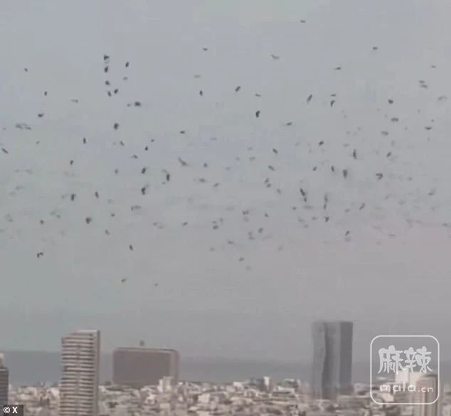 553ace9fc6d047ee81397a5827d3eed6~tplv-obj:634:585.image