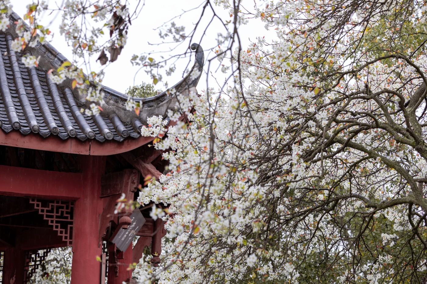 _P5A1726 ����.jpg