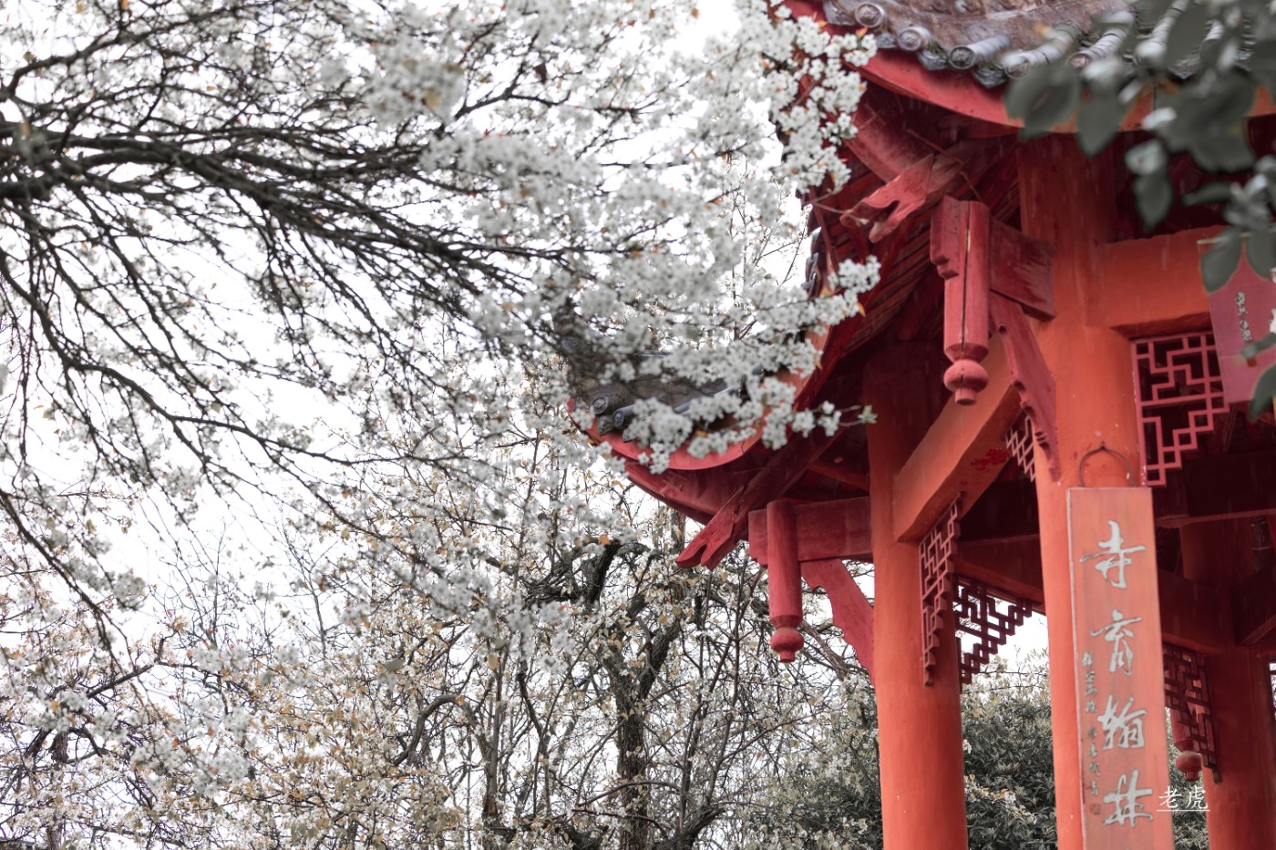 _P5A1719 ����.jpg