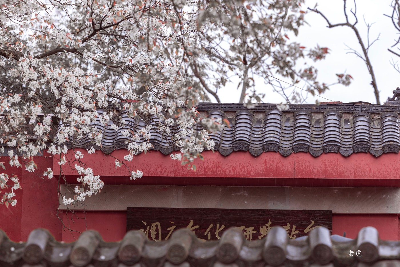 _P5A1722 ����.jpg