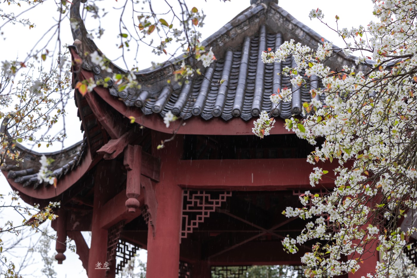 _P5A1732 ����.jpg