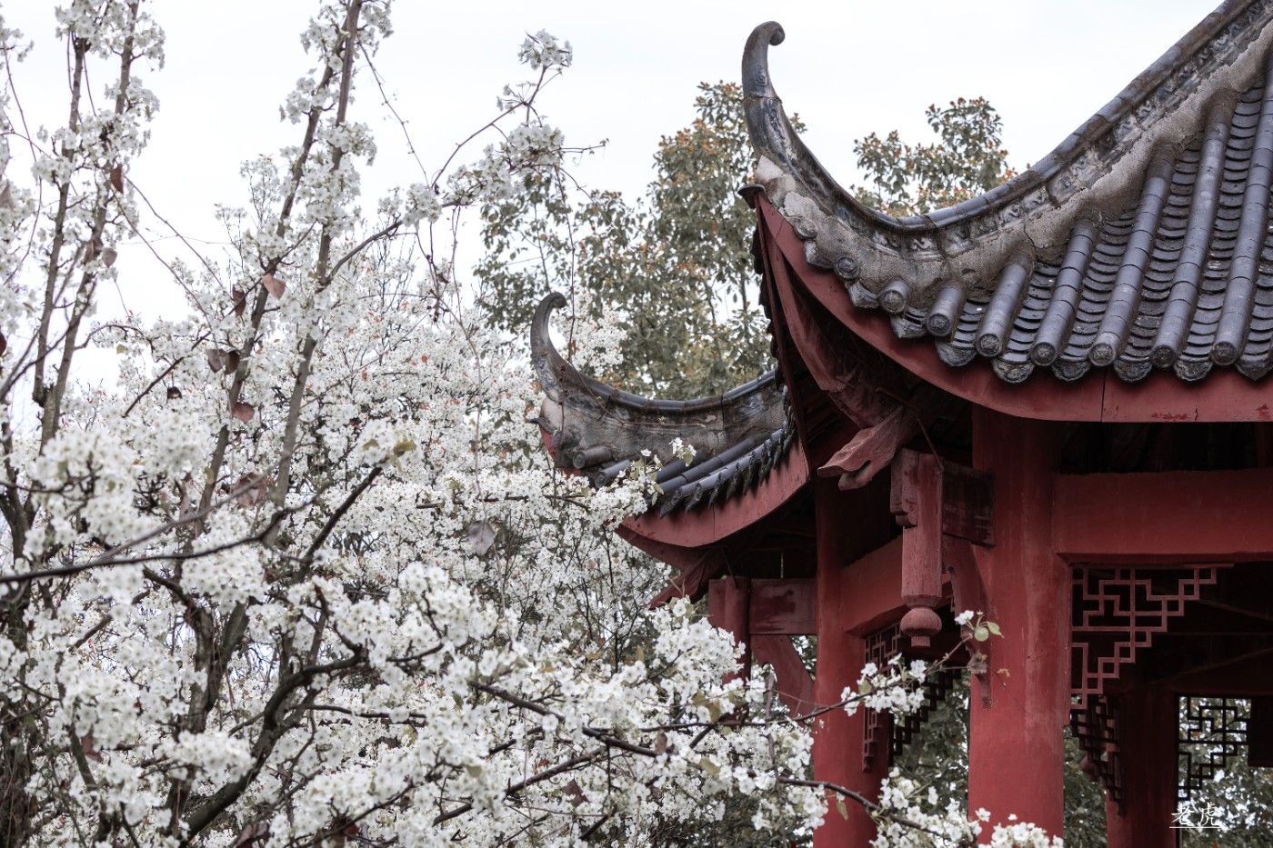 _P5A1746 ����.jpg