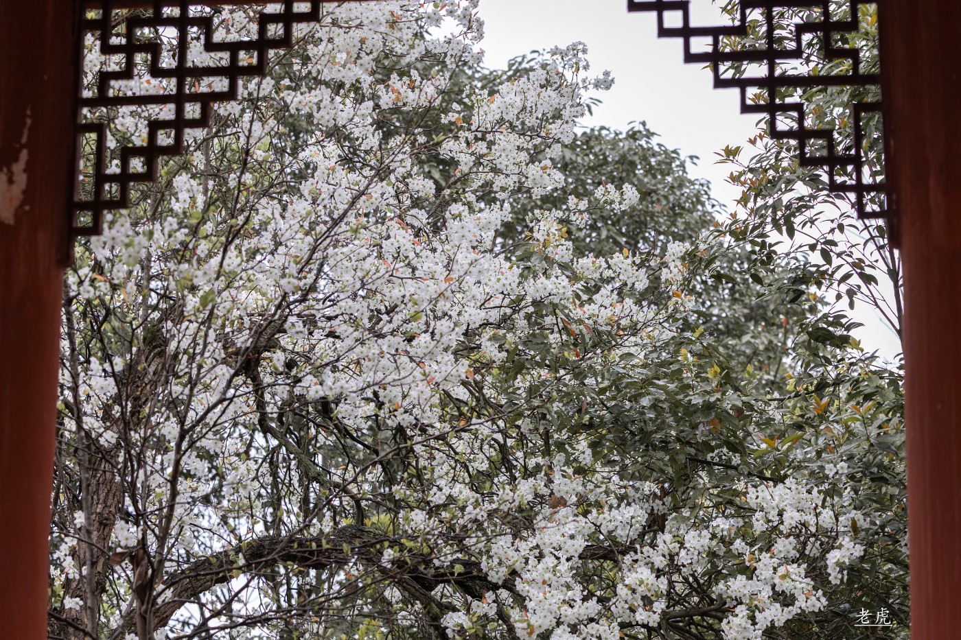 _P5A1743 ����.jpg