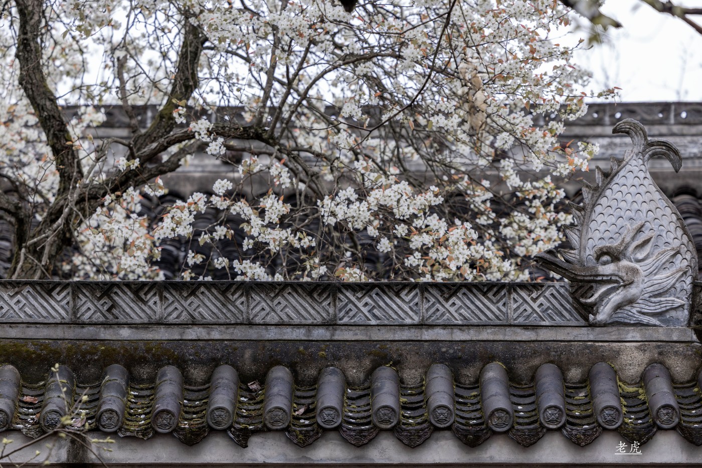 _P5A1758 ����.jpg