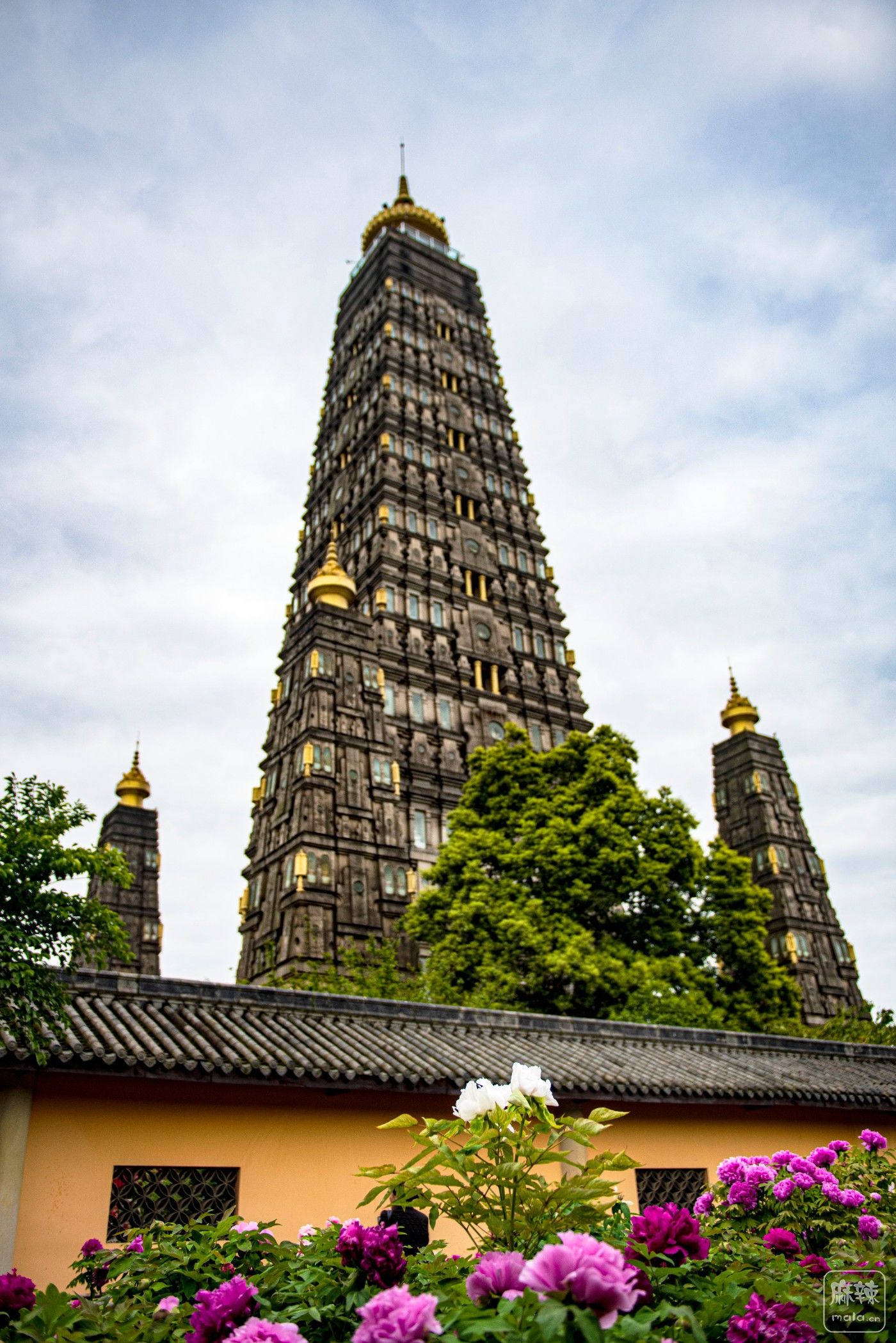 DSC_3810 ����.jpg