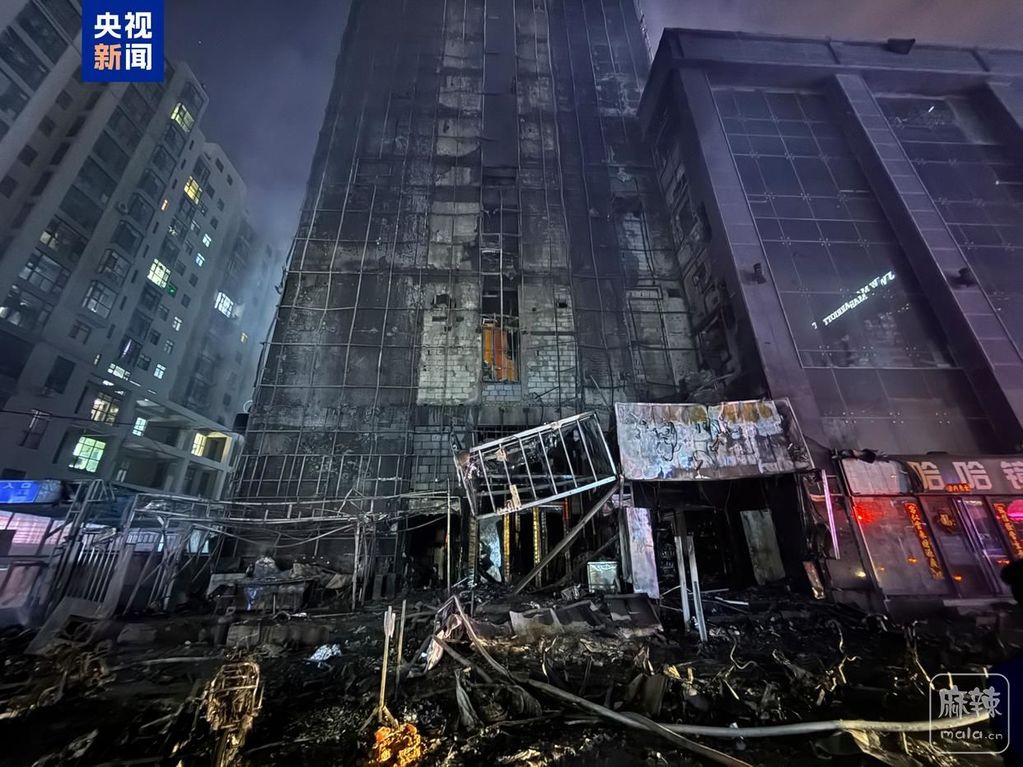 86d6277f9e2f07085582dbd38c31ca88a801f201.jpeg@f_auto