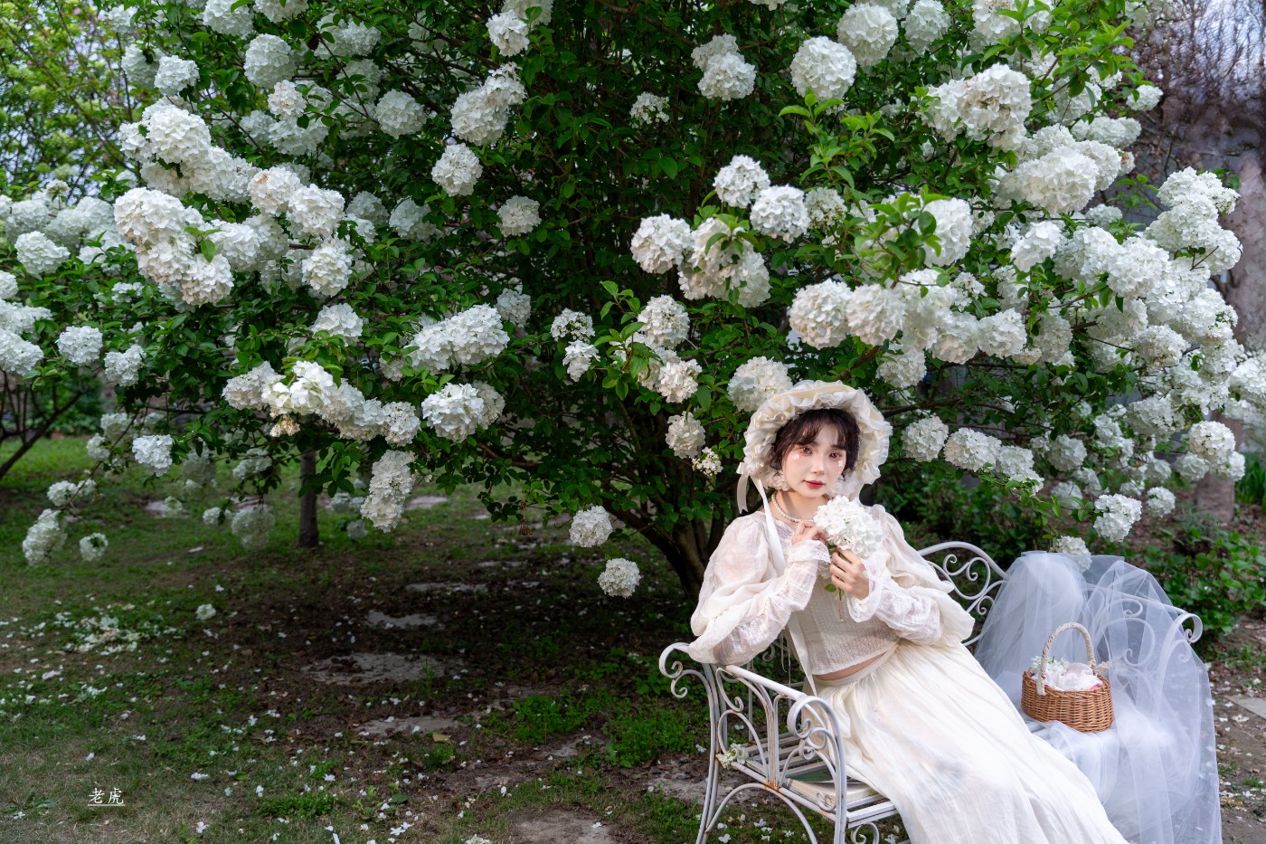 AR6P0164 ����.jpg