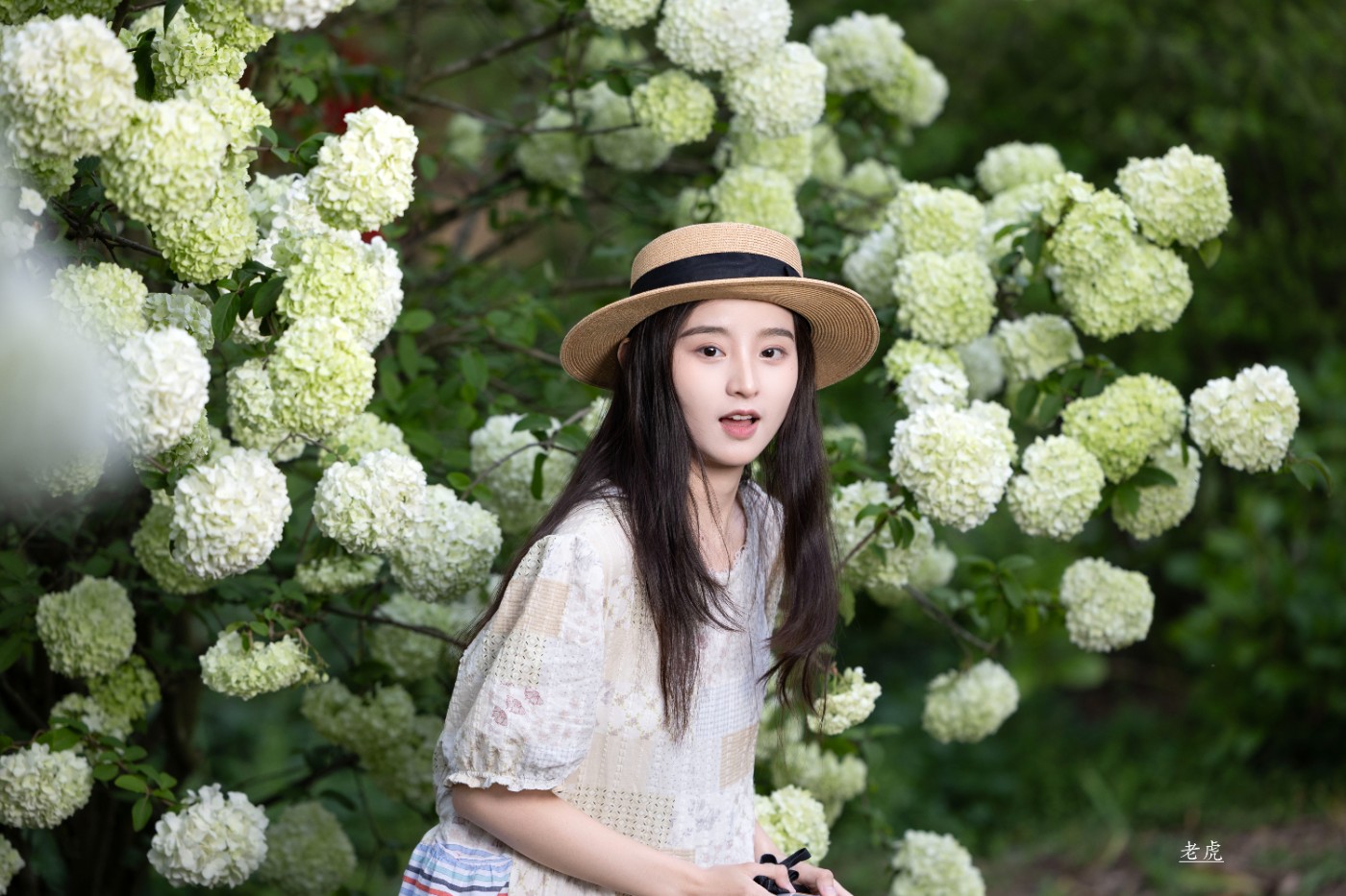 _P5A2456 ����.jpg