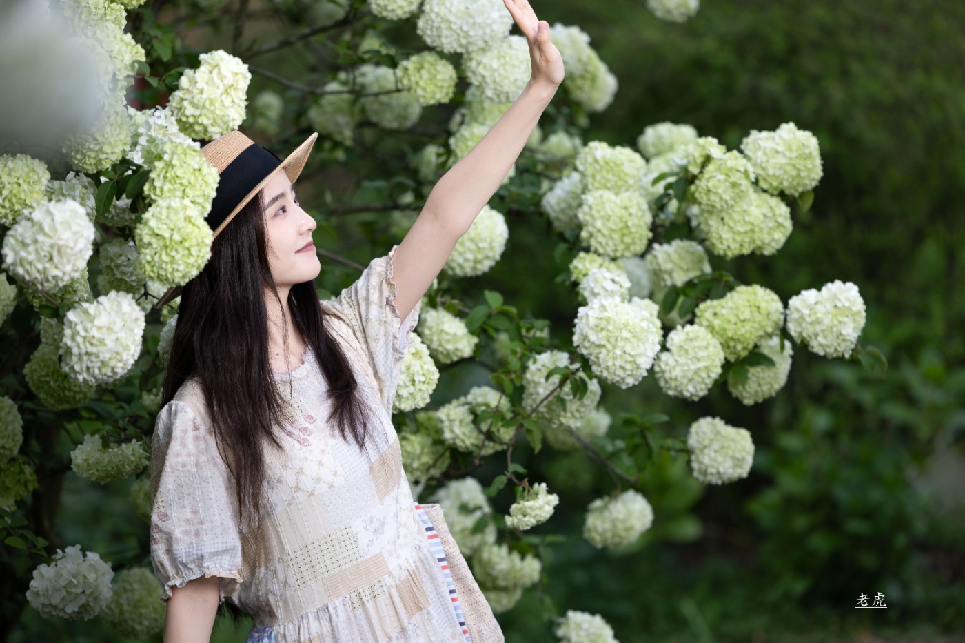 _P5A2462 ����.jpg