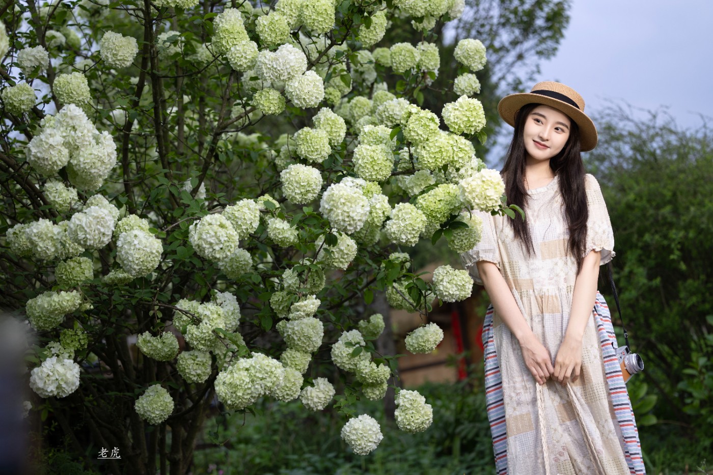 _P5A2485 ����.jpg