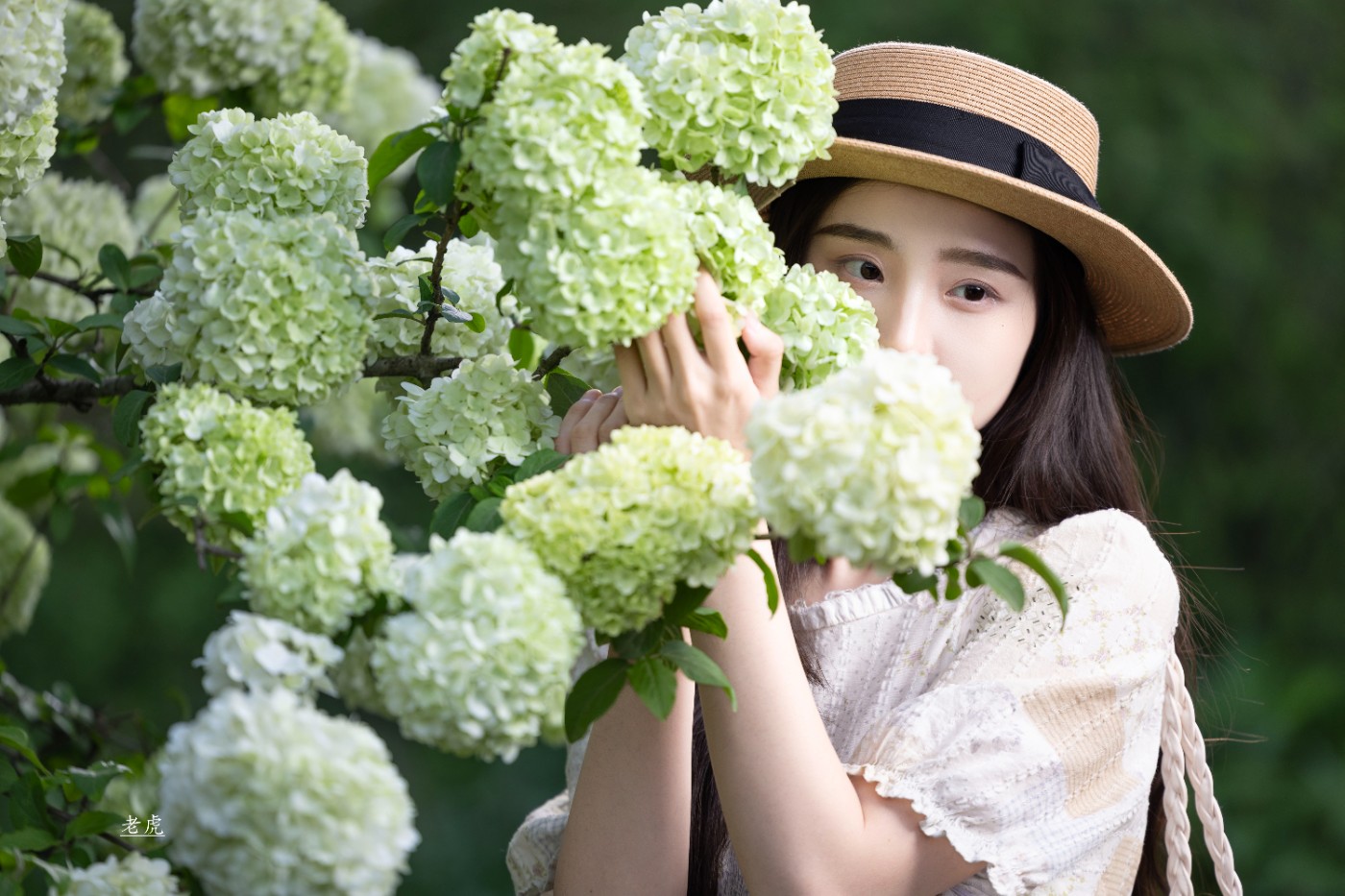 _P5A2515 ����.jpg