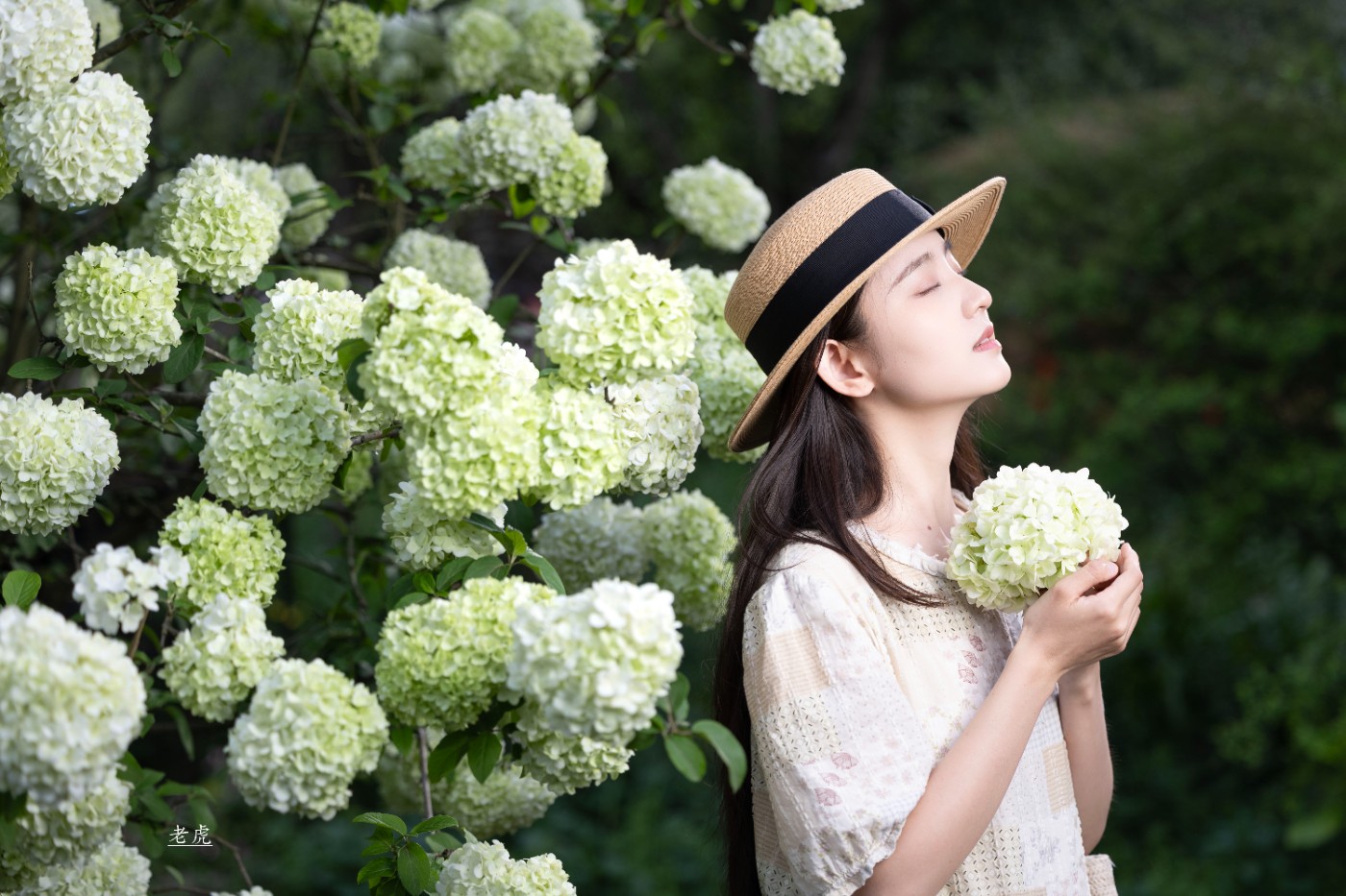 _P5A2566 ����.jpg