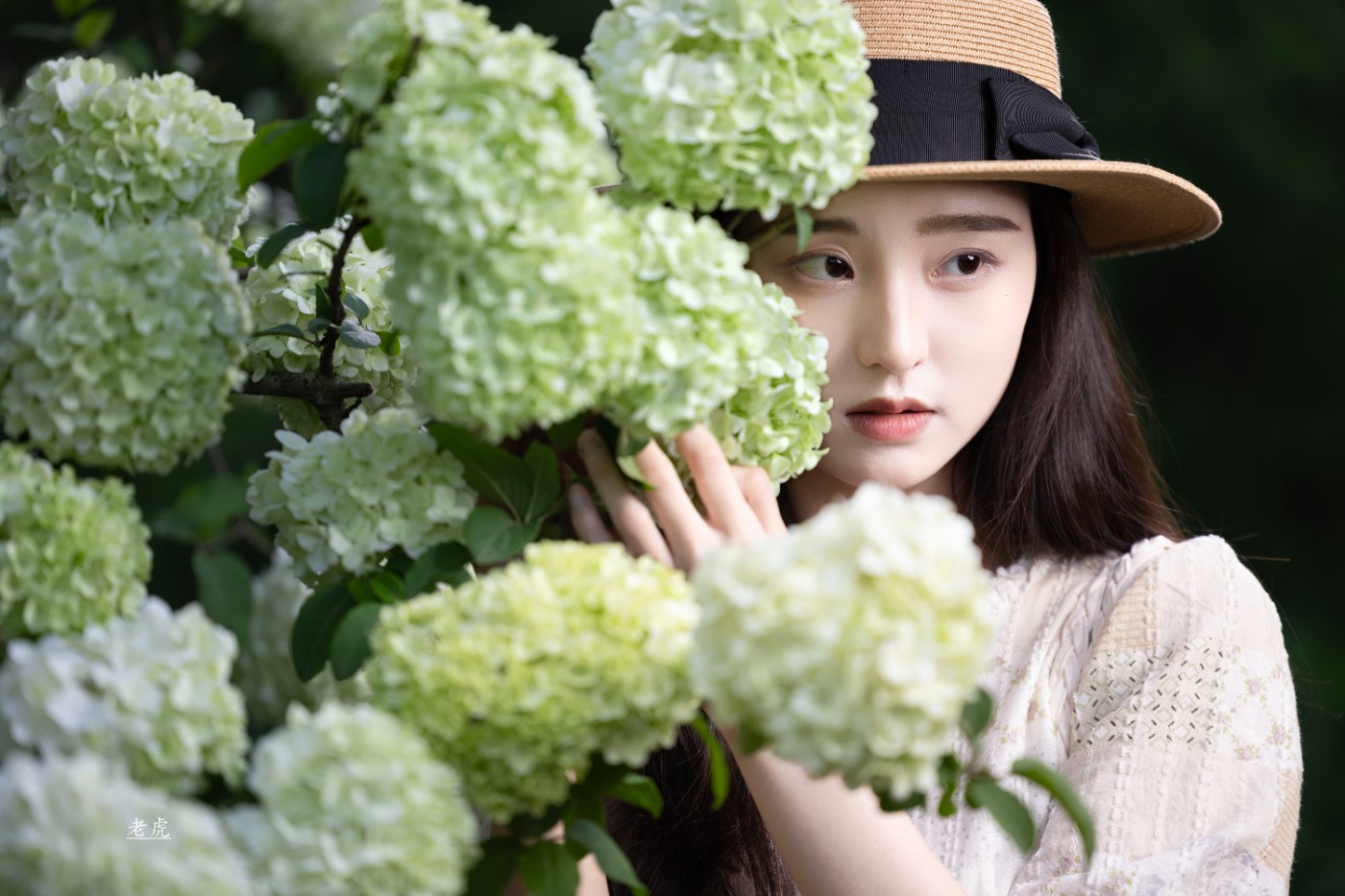 _P5A2527 ����.jpg