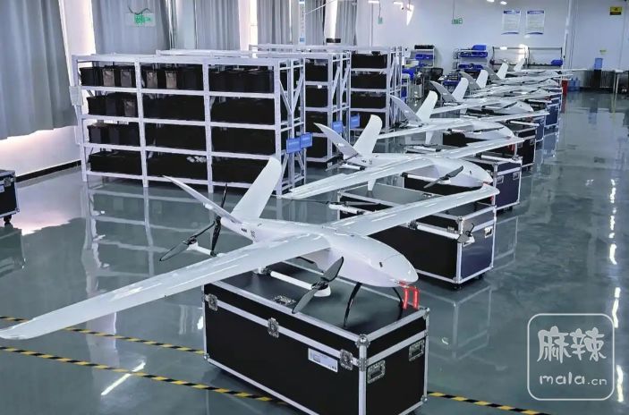 3c42daa6a63b4de19596362d67f4c250~tplv-obj:703:464.image