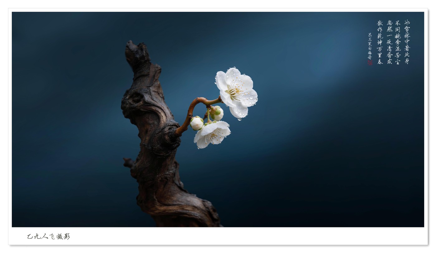 dreamina_7622545988724542730_1774762458750 ����2 ����.jpg