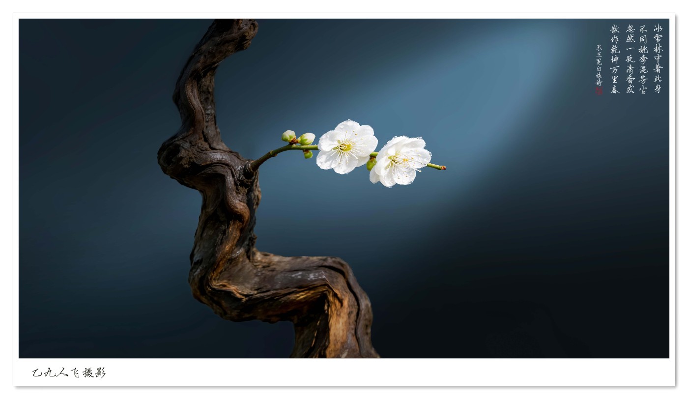 dreamina_7622545988724575498_1774762478009 ����2.jpg