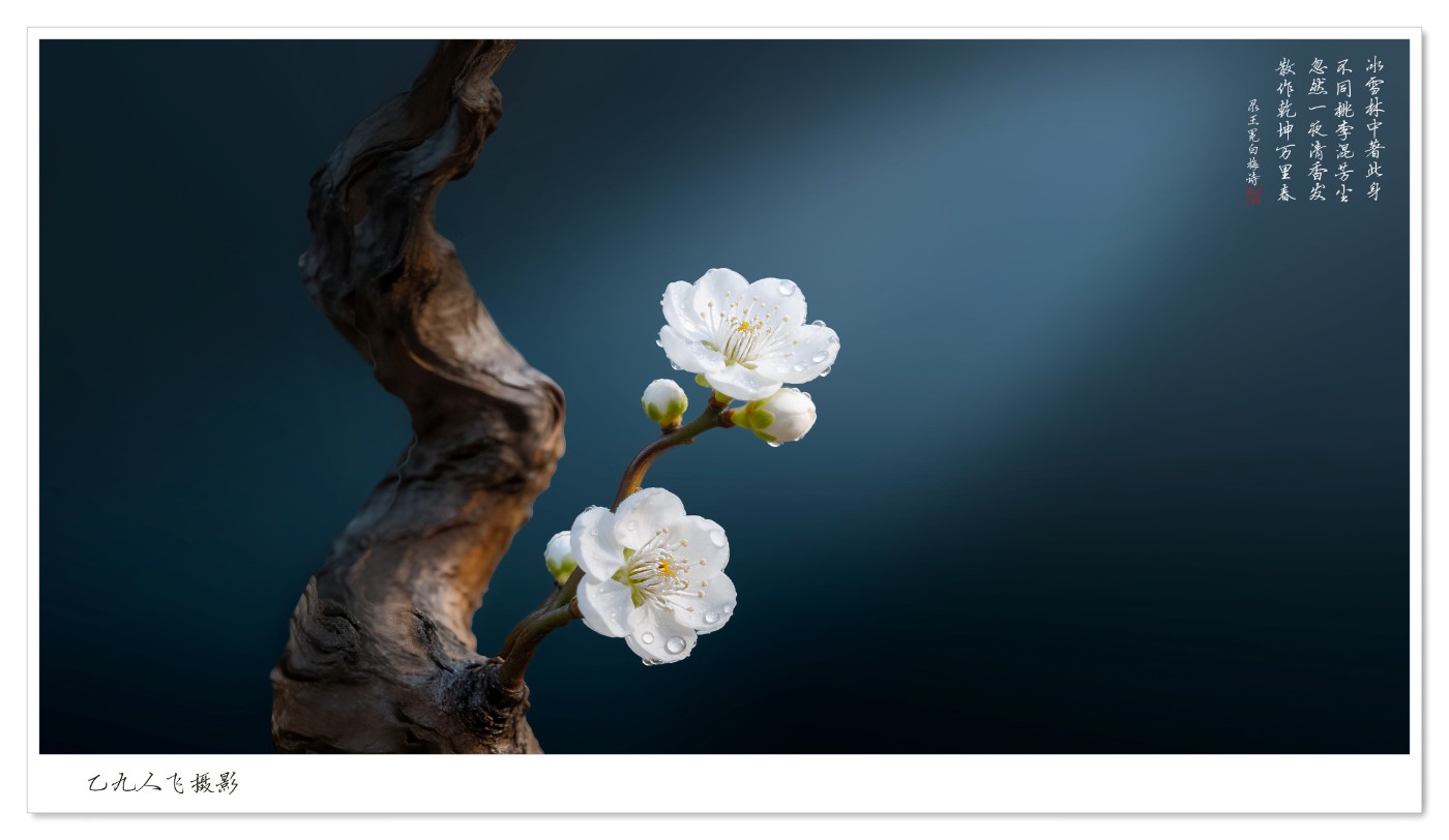 dreamina_7622545988724559114_1774762468591 ����2 ����.jpg