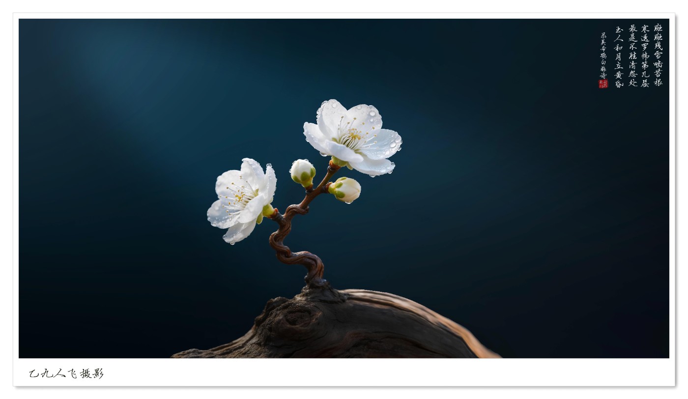 dreamina_7622560213584989466_1774765716224 ����2.jpg