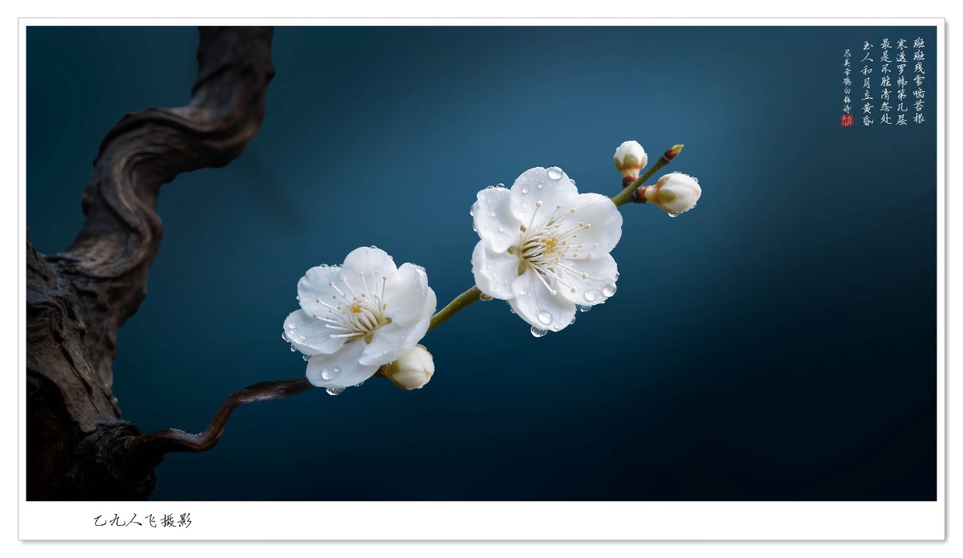 dreamina_7622545988724591882_1774762485694 ����2.jpg