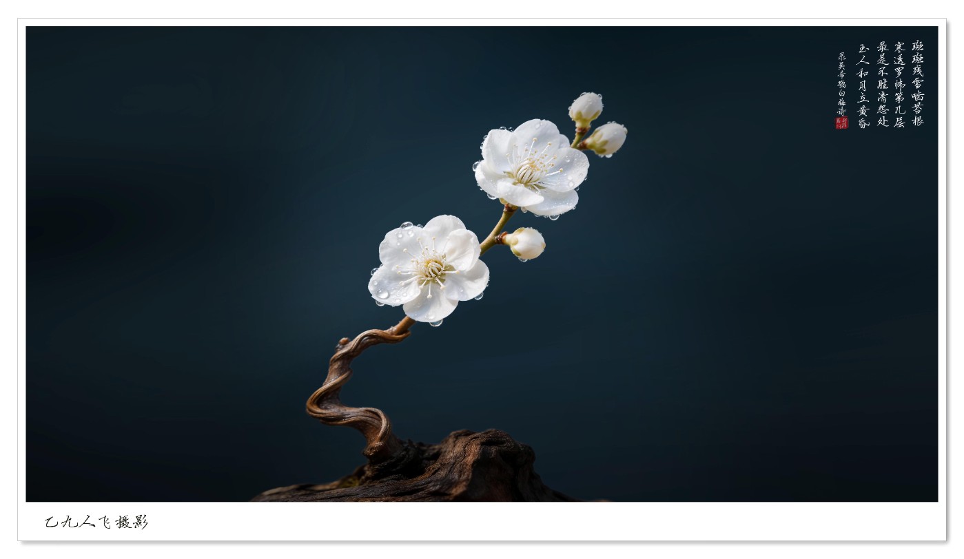 dreamina_7622560213731642674_1774765709997 ����2.jpg