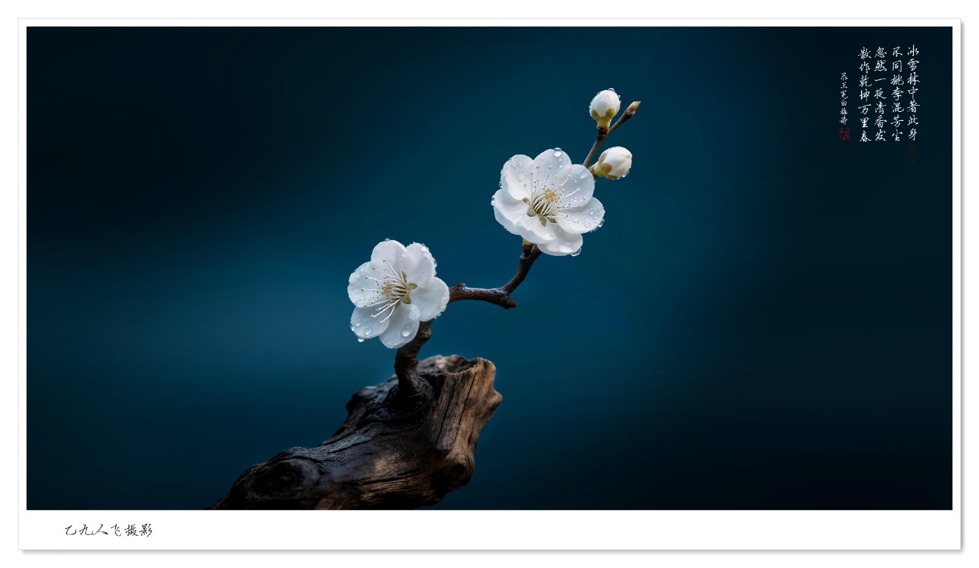 dreamina_7622560213731675442_1774765698005 ����2.jpg