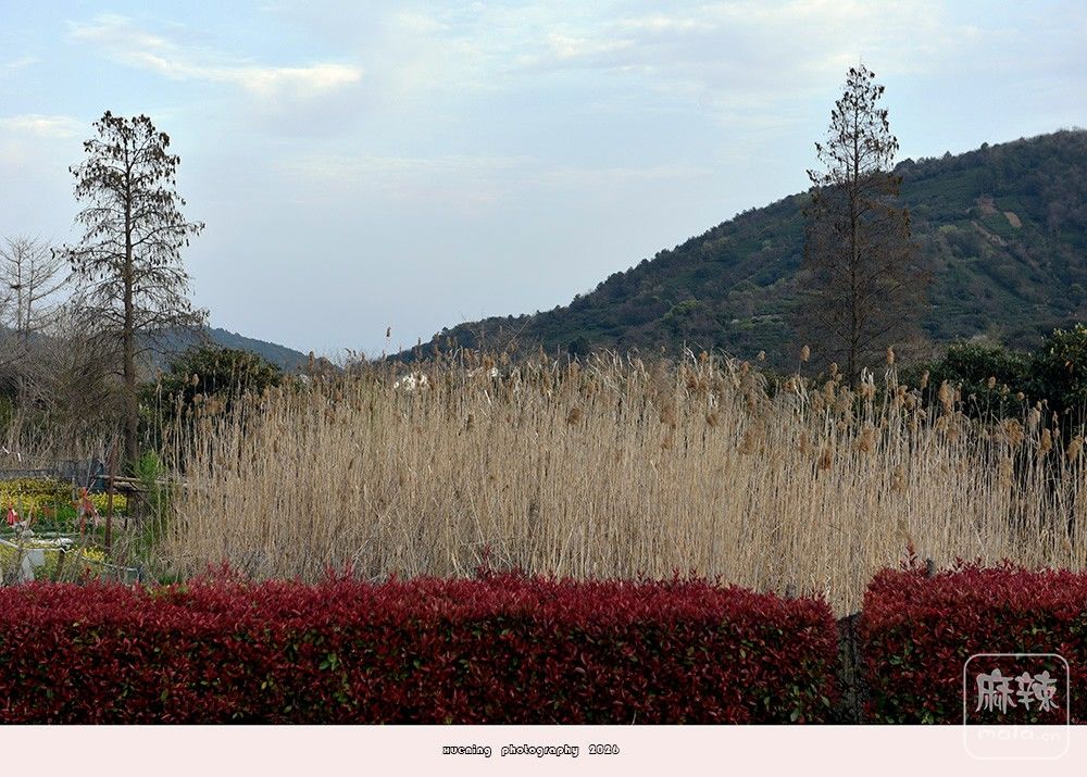 _DSC5761 ����.jpg