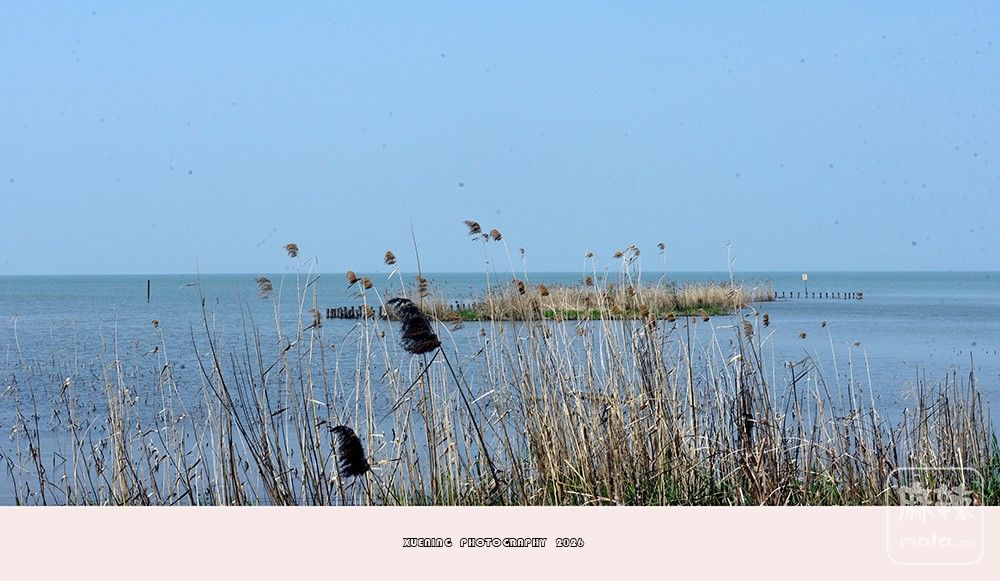 _DSC5618 ����.jpg