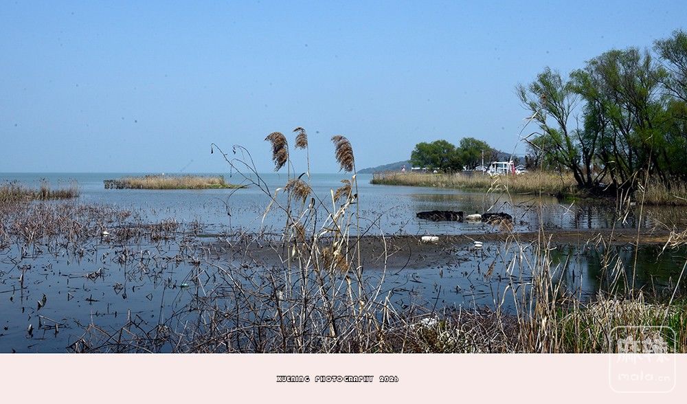 _DSC5588 ����.jpg