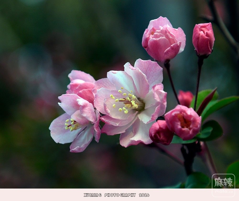 _DSC4850 ����.jpg