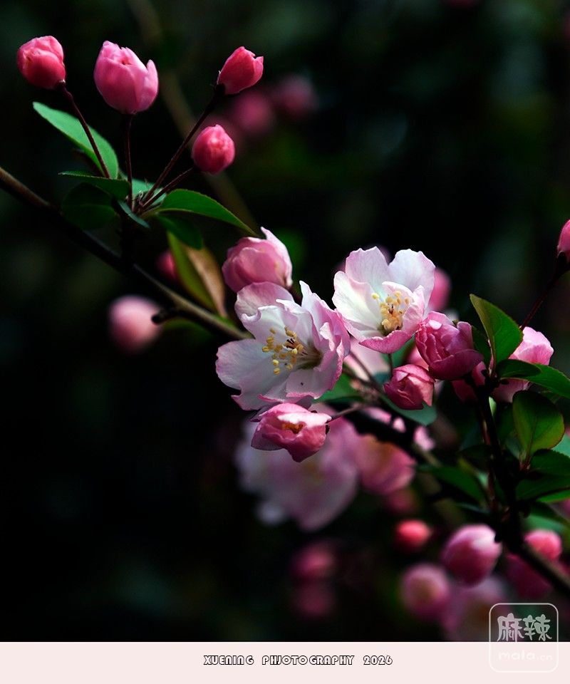 _DSC4852 ����.jpg