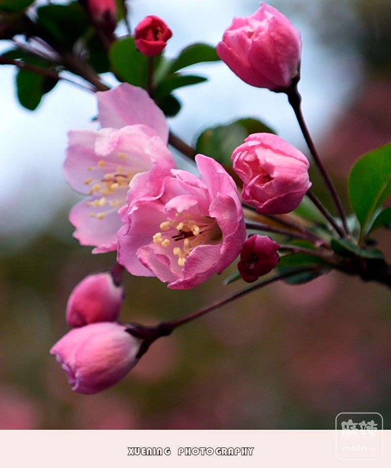 _DSC4849 ����.jpg