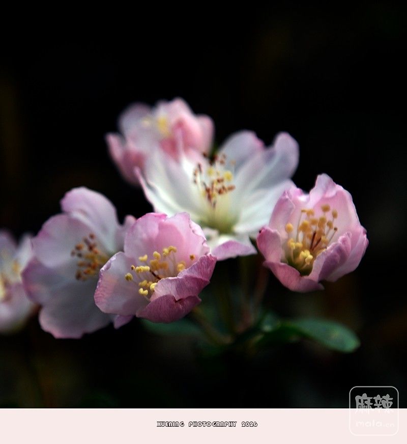 _DSC4853 ����.jpg