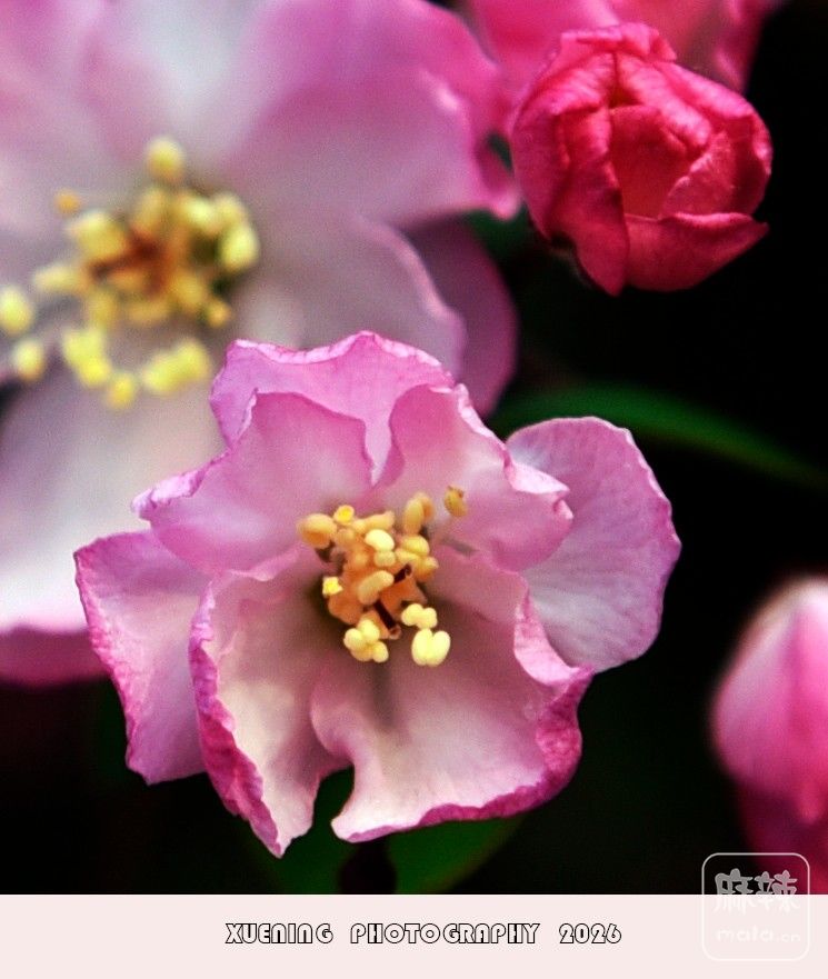 _DSC4851 ����.jpg